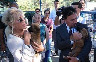 Bodrum Belediyesi’ne HAYTAP’tan tam not