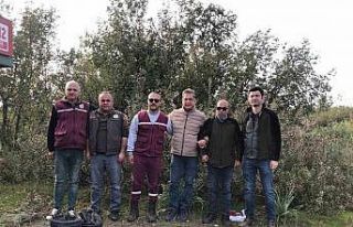 Datça’da gelecek için fidan diktiler