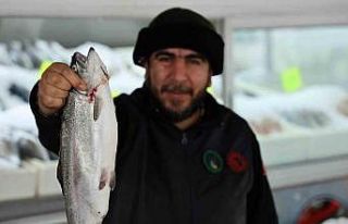 Denize kıyısı olmayan şehirde bu yıl 6 bin ton...