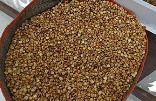 Denizli’nin sarı incisi ihracatta Türkiye birincisi