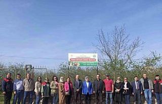 Doğru tarım için örnek bahçe