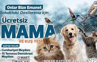 Elazığ Belediyesi ücretsiz mama ve kuş yemi dağıtacak