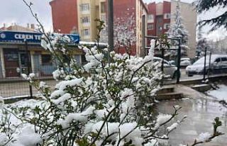 Eskişehir kent merkezinde kar yağışı etkili oldu