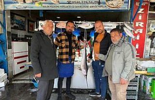 Et fiyatlarının artması vatandaşları balığa...