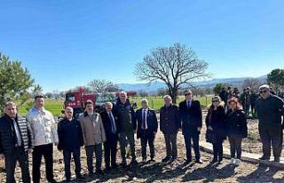 Gediz’de 150 karaçam toprakla buluştu