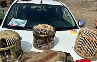 Kars’ta kaçak avcılara ceza yağdı