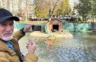 Kuğulu Park’ın yeni dünyaya gelen yavru siyah...