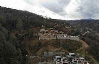 Meyve bahçelerinde artık bungalov yetişiyor, ne...