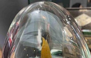 Mukaddes emanetler Sakarya’da yoğun ilgi görüyor