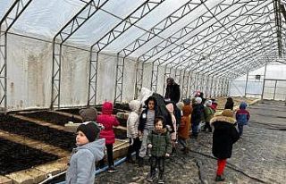 Orman Haftası’nda anaokulu öğrencilerine ormanların...