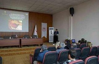 Pamukta Pembekurt zararlısına karşı bilgilendirme