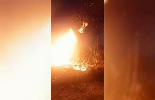 Rize’de ormanlık alanda yangın çıktı: 10 dönüm...