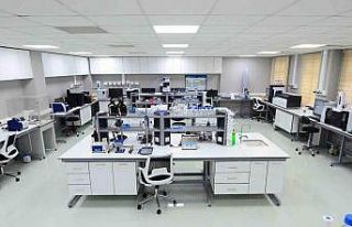 Selçuk zeytinyağına ‘coğrafi işaret’ formülü