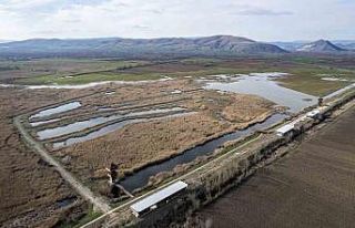 Tokat’ta kuşların göç durağı yeniden canlanacak
