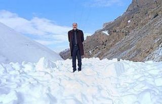 Van’da mahalle yoluna çığ düştü