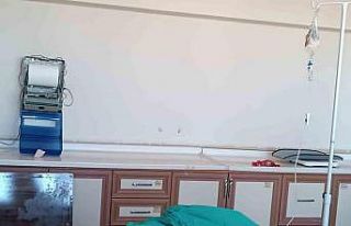 Van’da yaralı olarak bulunan tilki tedavi altına...