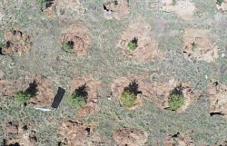 Bakanlık ve büyükşehrin yeşil projesi ile hava...