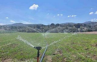 Çiftçiler yağmur yağmadığı için tarlalarını...