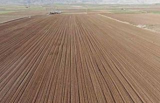 Dubai’ye gönderilmek üzere Sivas’ta toprakla...