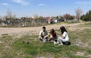 ERÜ’de kampüsün simgesi ‘Gelengiler’ uyandı