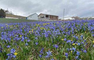 Kadıralak’ta soldular, Honefter de açtılar