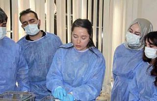 Siirt Üniversitesinden deney hayvanları kullanım...