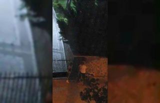 Tartıştığı kadını feci şekilde döven şehir...