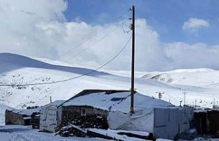 Ağrı’da kar yağışı köylüleri şaşırttı:...