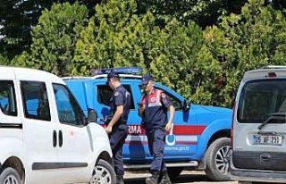 Amasya’da büyükbaş hayvana vahşet: 5 gözaltı