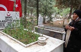 Bingöl’de 31 yıl önce şehit edilen öğretmenin...