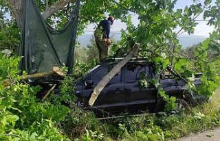 Bursa’da kontrolden çıkan kamyonet ağaca çarptı