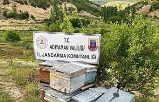 Çalınan arı kovanları jandarma tarafından bulundu