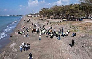 Caretta carettaların yumurtlama alanlarından Kazanlı...