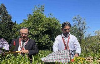 Çaykur Rizespor Teknik Direktörü İlhan Palut çay...