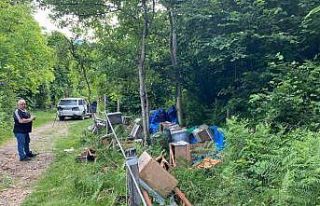 Elektrikli çitleri aşarak kovalarını parçalayan...