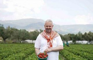 Emiralem Çilek Festivali binlerce kişiyi buluşturacak