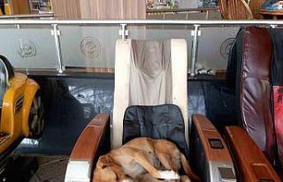 Eskişehir Şehirlerarası Otobüs Terminali’ndeki...