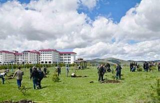 "Filistin" için Gazze hatıra ormanı oluşturuldu