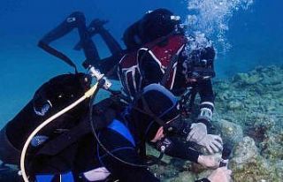 İklim değişikliği, denizlerdeki biyoçeşitliliği...