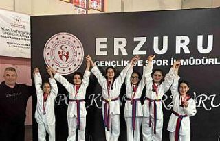 İspirli sporcular bölge Taekwondo müsabakalarına...