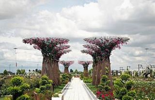 Karatay Mevlana Gül Parkı yeni sezon için kapılarını...