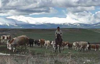Kars’ta dağların zirvesi mayısta beyaza büründü