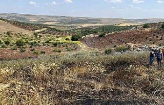 Kilis’te çıkan yangında 15 dönüm alanda ekili...