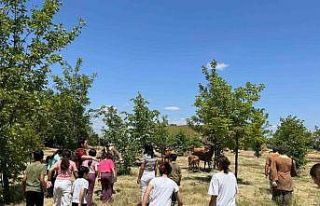 Kırklareli’nde koruma altındaki çocuklara Aşağıpınar...