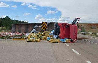 Kontrolden çıkan hayvan yemi yüklü tır devrildi
