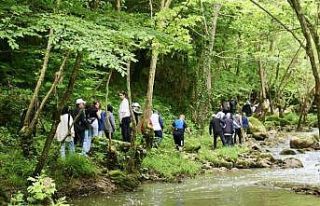 Körfez’in doğal güzelliklerinde trekking keyfi