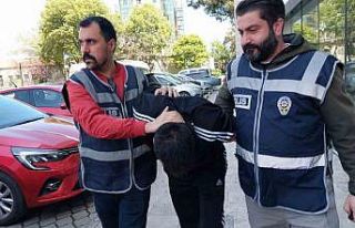 Maket bıçağı ile alarmları kesip hırsızlık...