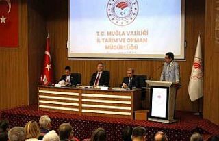 Muğla’nın ‘Su’yu masaya yatırıldı