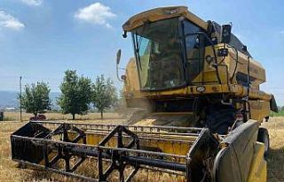 Osmaniye’de yüz güldüren buğday hasadı