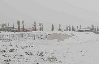 Özalp mayıs ayında kışı yaşadı